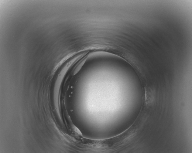 X0000077360348200610271900