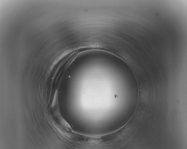 X0000077360350200610271900