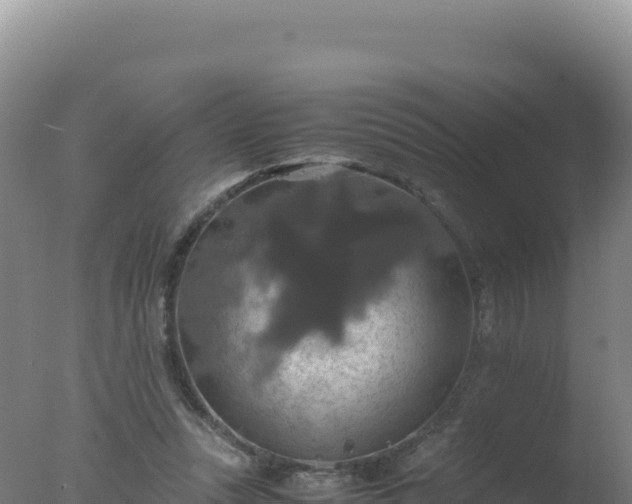 X0000077360351200610271900