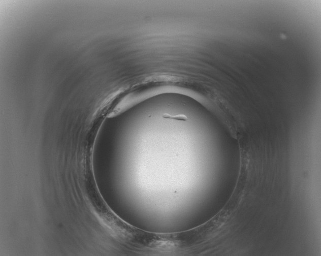 X0000077360352200610271900