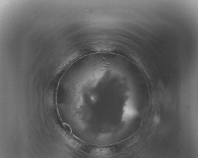 X0000077360353200610271900