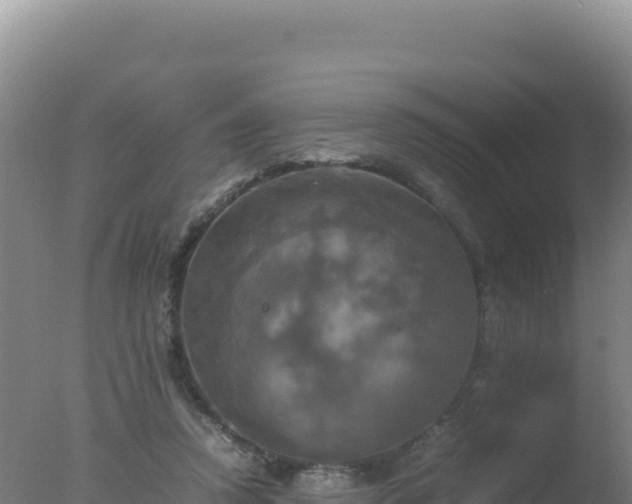 X0000077360354200610271900