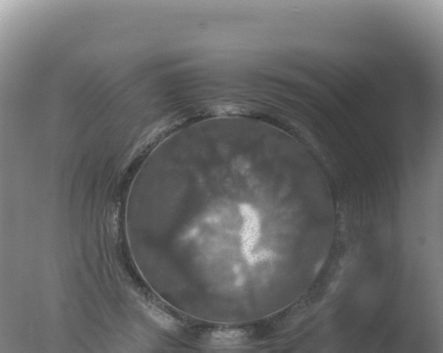 X0000077360357200610271900