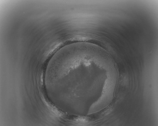 X0000077360358200610271900