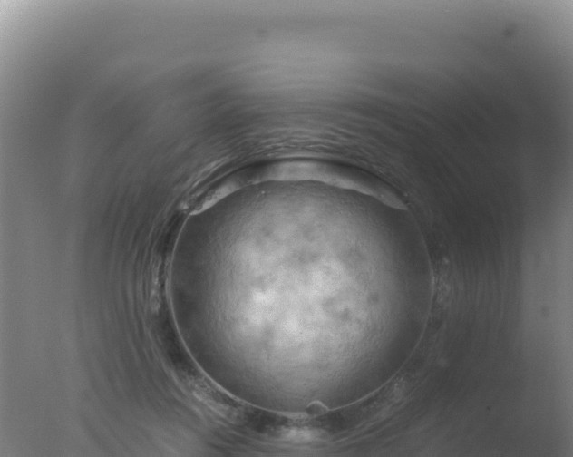 X0000077360360200610271900