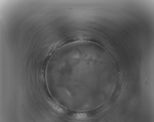 X0000077360361200610271900