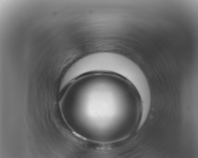 X0000077360362200610271900