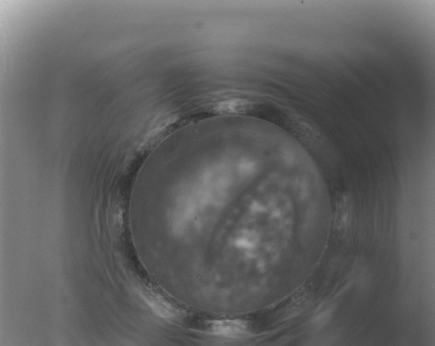 X0000077360363200610271900