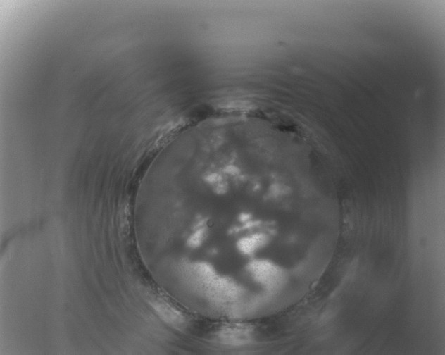 X0000077360369200610271900