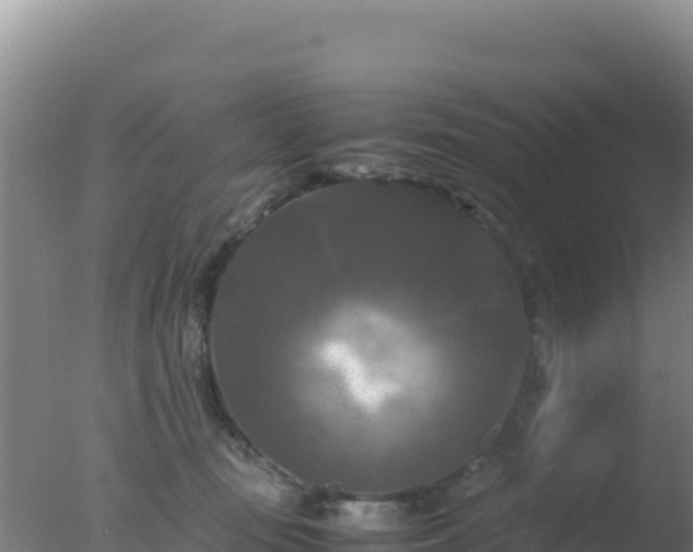 X0000077360371200610271900