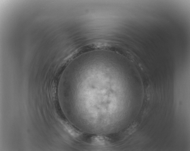 X0000077360372200610271900