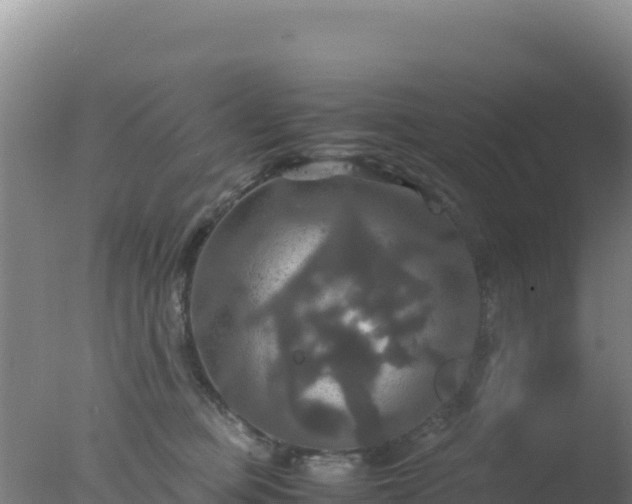 X0000077360373200610271900