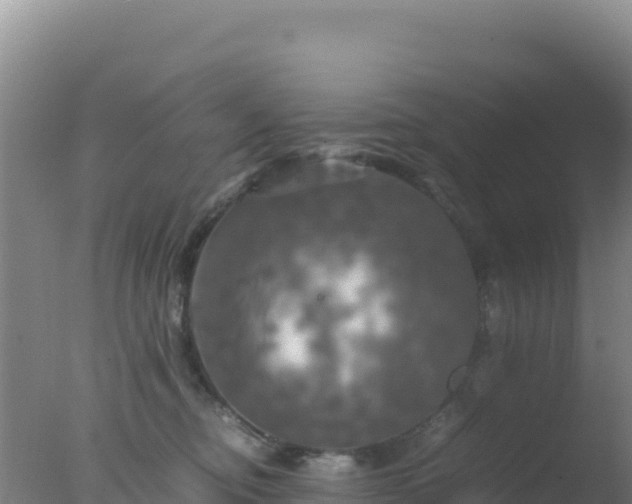 X0000077360374200610271900