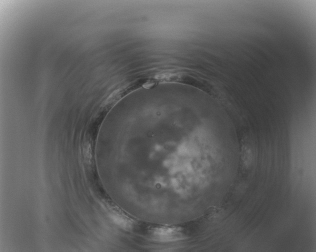 X0000077360375200610271900