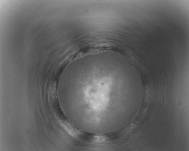 X0000077360376200610271900