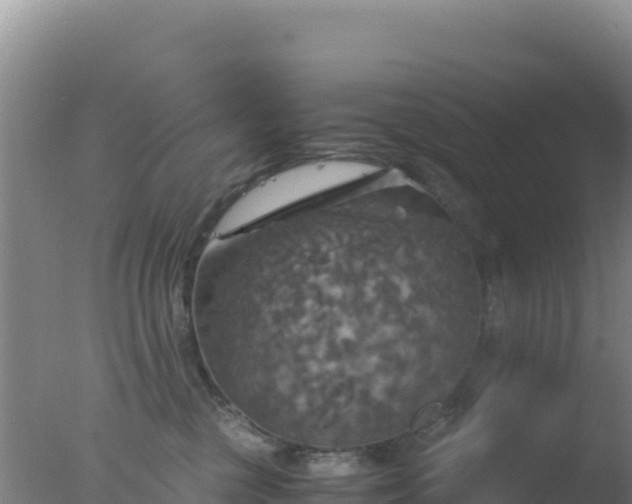 X0000077360377200610271900