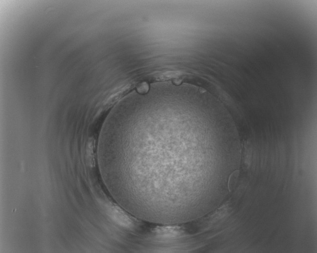 X0000077360378200610271900