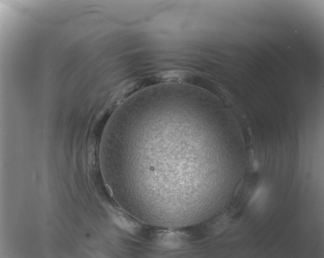 X0000077360379200610271900