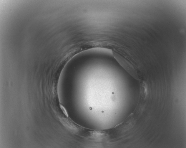 X0000077360380200610271900