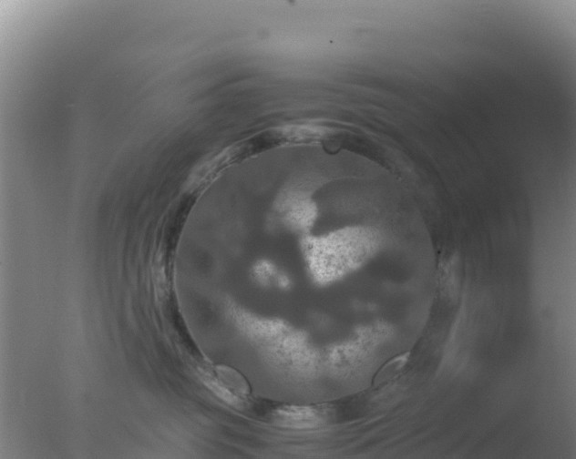 X0000077360381200610271900