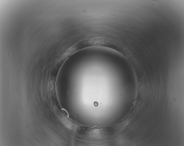 X0000077360382200610271900