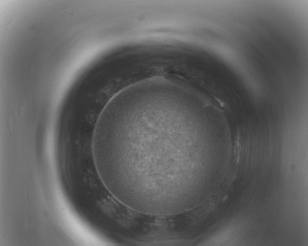 X0000077360383200610271900