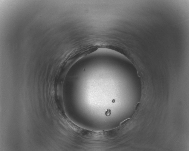 X0000077360384200610271900