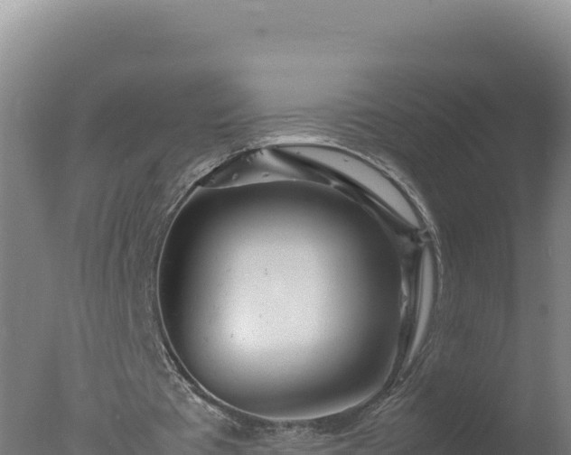 X0000077360385200610271900