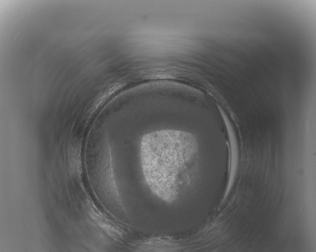 X0000077360386200610271900