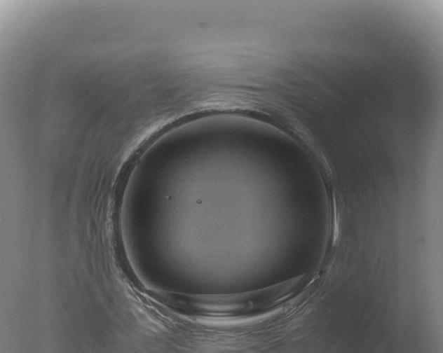 X0000077360387200610271900