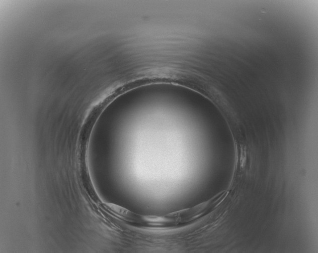 X0000077360388200610271859