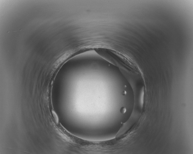 X0000077360389200610271859