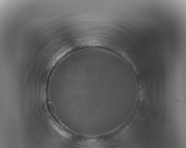 X0000077360390200610271859