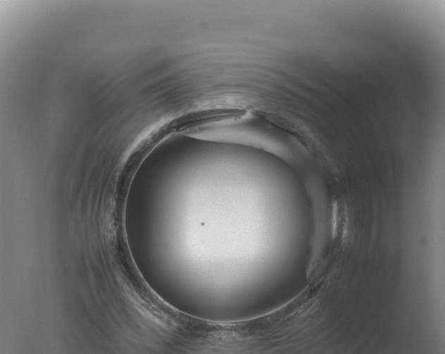 X0000077360392200610271859