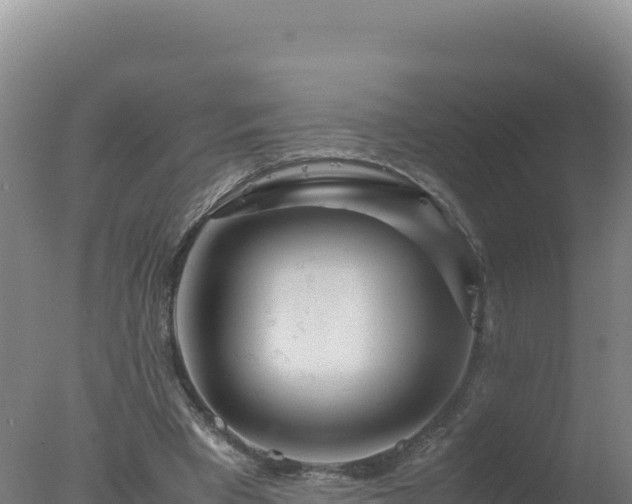 X0000077360393200610271859