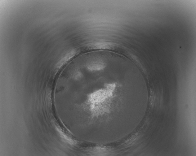 X0000077360394200610271859