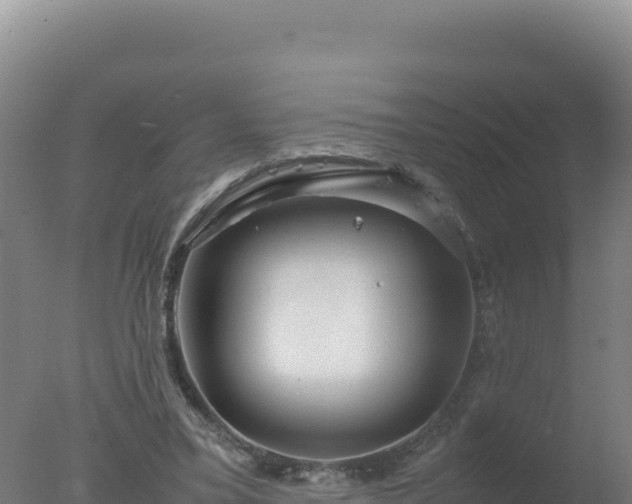 X0000077360395200610271859