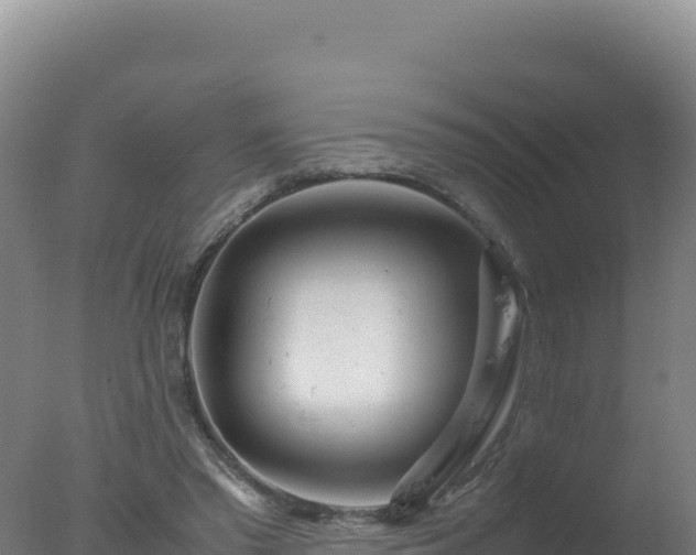 X0000077360397200610271859