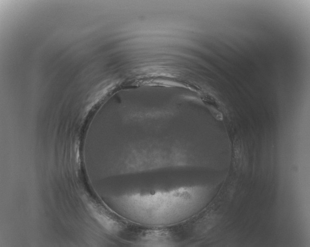 X0000077360398200610271859