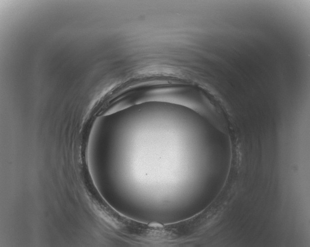 X0000077360399200610271859