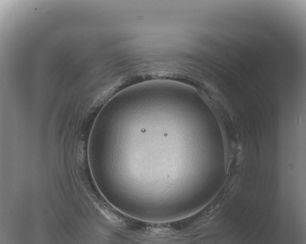 X0000077360401200610271859