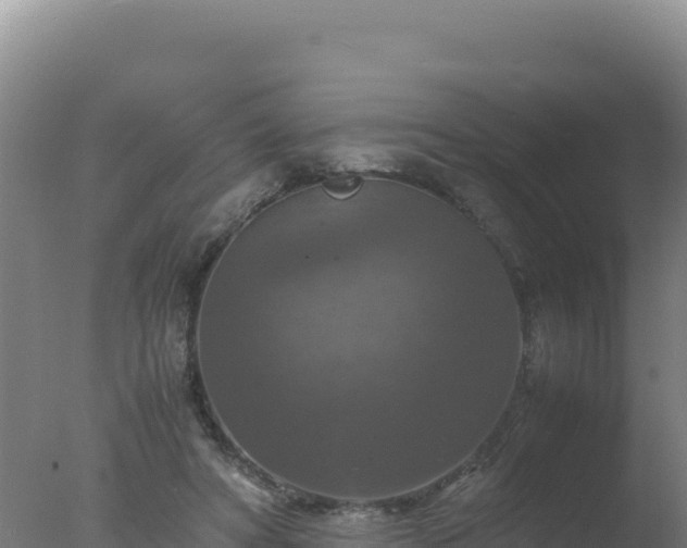 X0000077360402200610271859