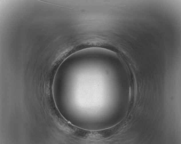 X0000077360403200610271859