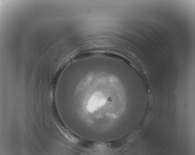 X0000077360405200610271859