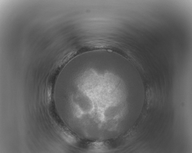 X0000077360406200610271859