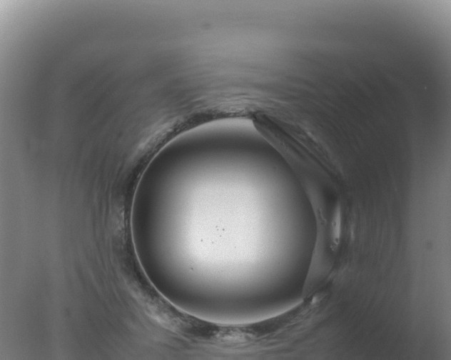 X0000077360407200610271859