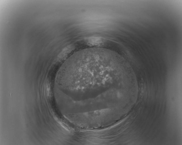 X0000077360408200610271859