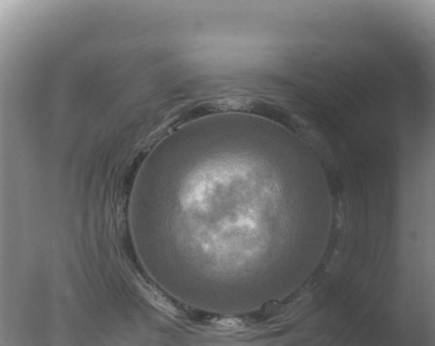 X0000077360409200610271859