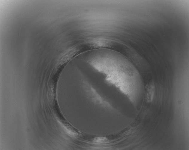 X0000077360410200610271859