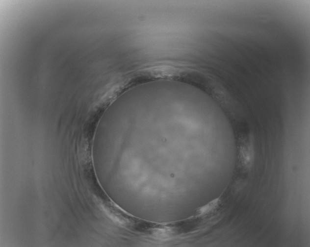 X0000077360411200610271859